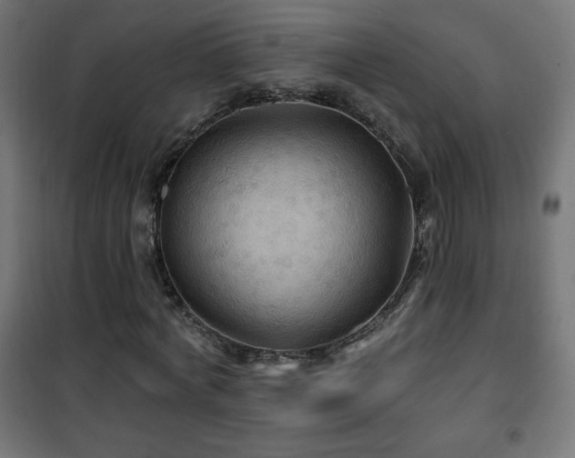 X0000101450772200807071405