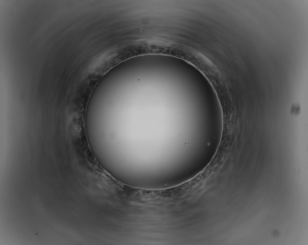 X0000101450774200807071405