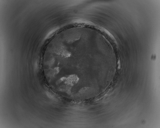 X0000101450775200807071405