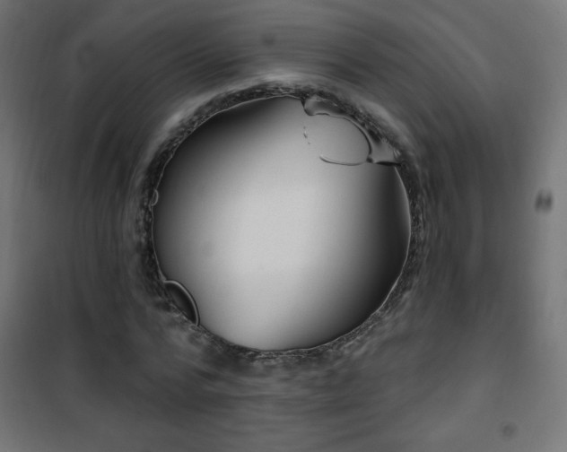X0000101450776200807071405