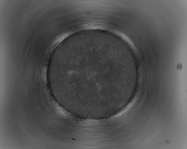 X0000101450777200807071405