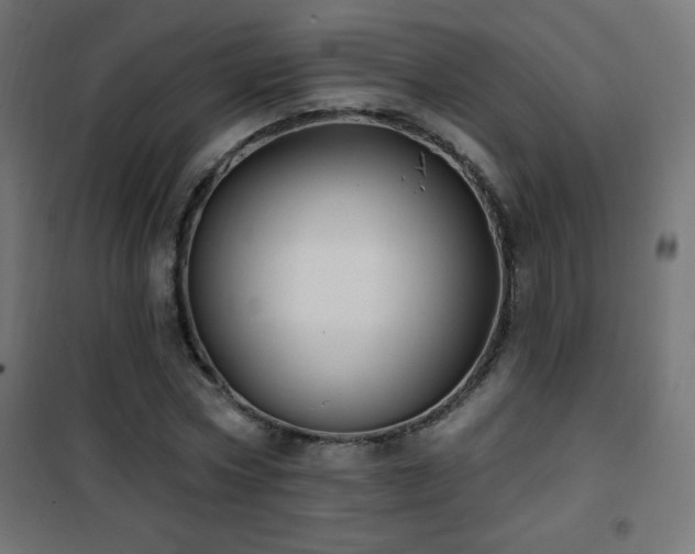 X0000101450778200807071405