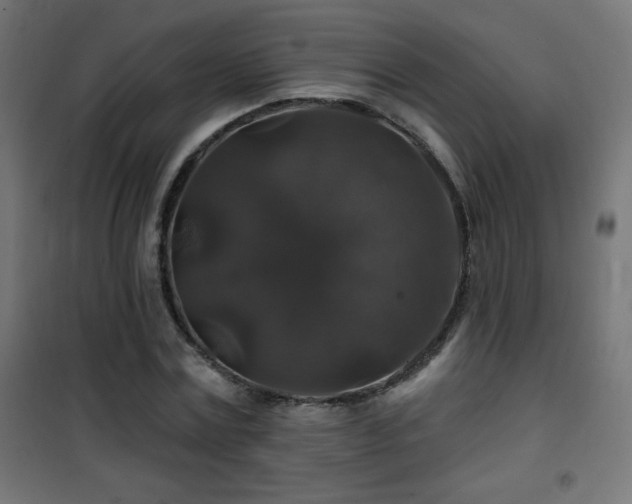 X0000101450779200807071405