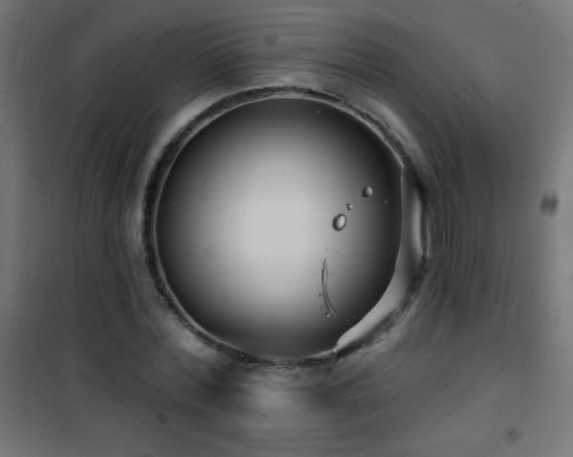 X0000101450780200807071405