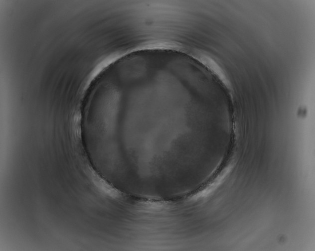 X0000101450781200807071405