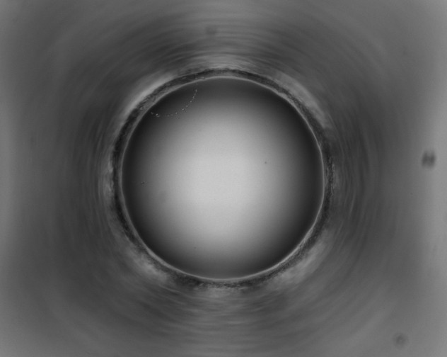 X0000101450782200807071405