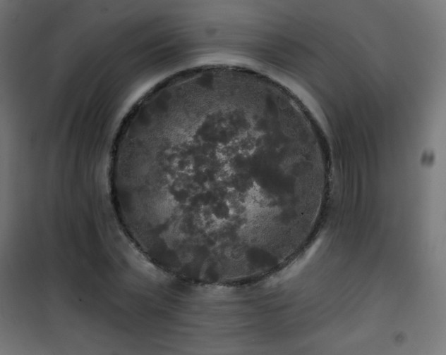 X0000101450783200807071405