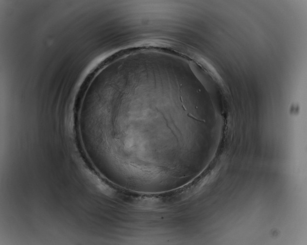 X0000101450784200807071405