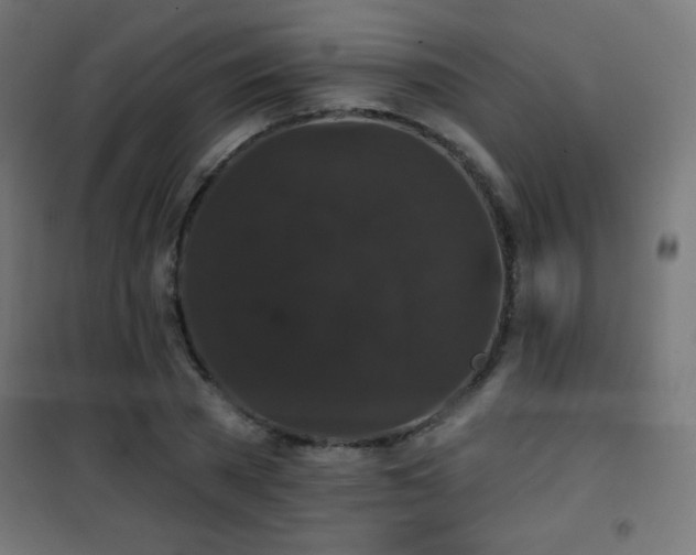 X0000101450785200807071405