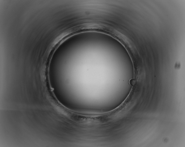X0000101450786200807071405