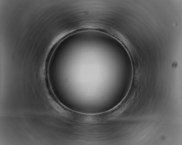 X0000101450787200807071405