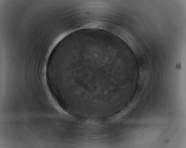 X0000101450788200807071405