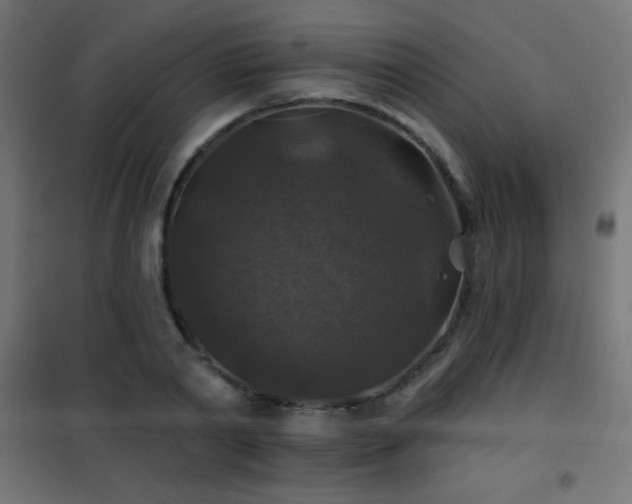 X0000101450790200807071405