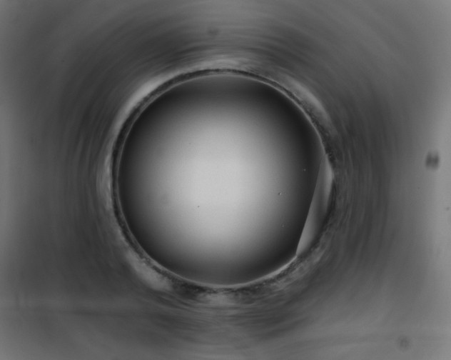 X0000101450792200807071405