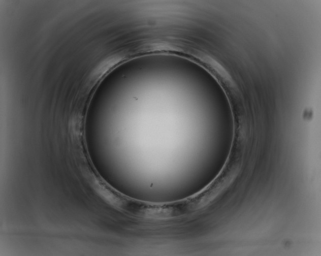 X0000101450793200807071405