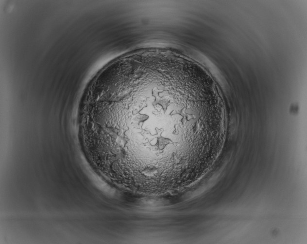 X0000101450795200807071405