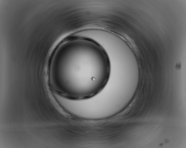 X0000101450796200807071405