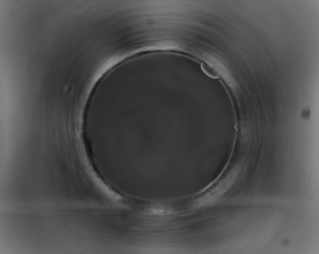 X0000101450797200807071405