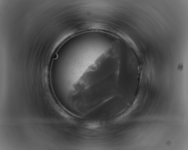 X0000101450798200807071405