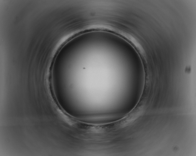 X0000101450799200807071405