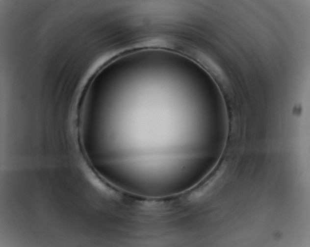 X0000101450800200807071405