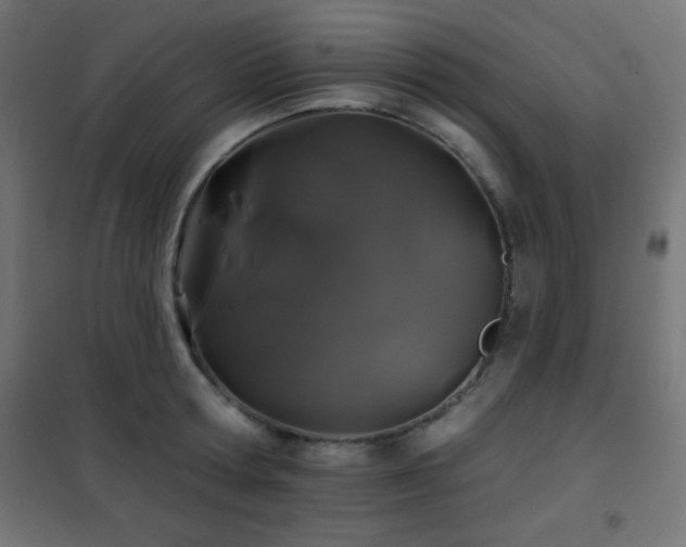 X0000101450802200807071405