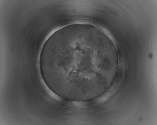 X0000101450803200807071405