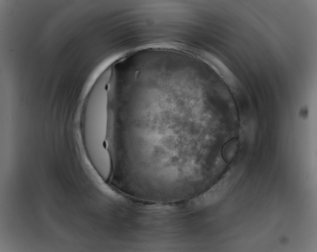 X0000101450804200807071405