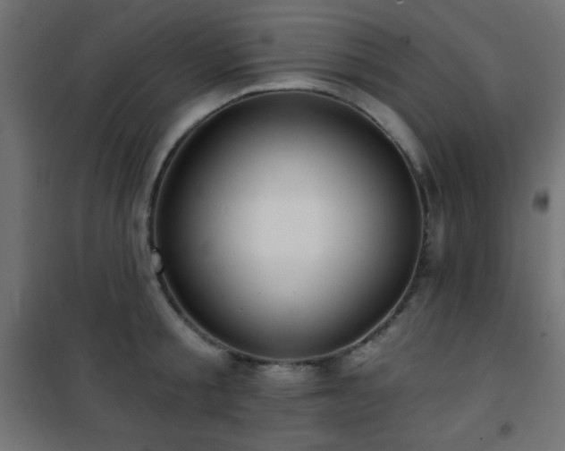 X0000101450805200807071404