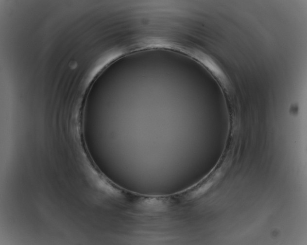 X0000101450806200807071404