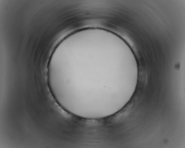 X0000101450807200807071404