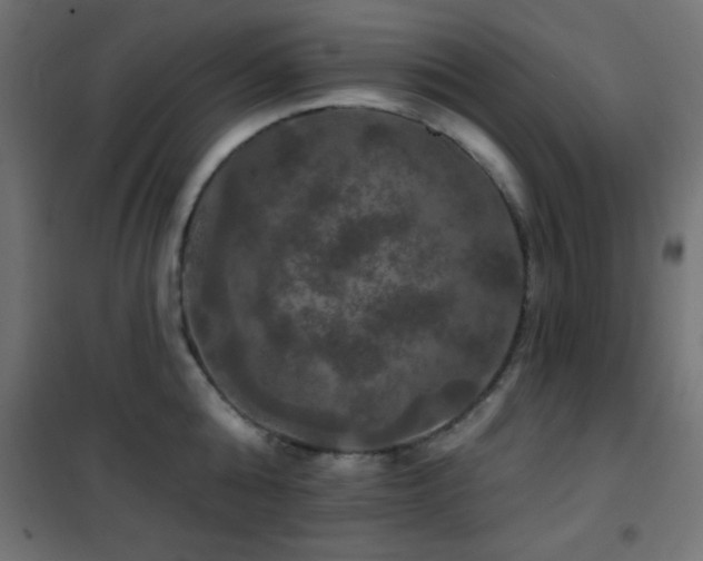 X0000101450808200807071404