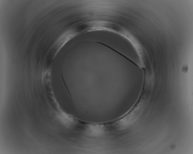 X0000101450809200807071404
