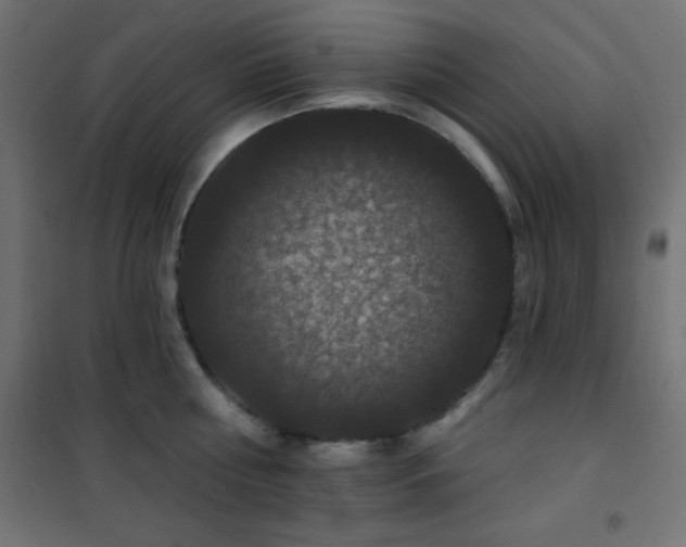 X0000101450810200807071404