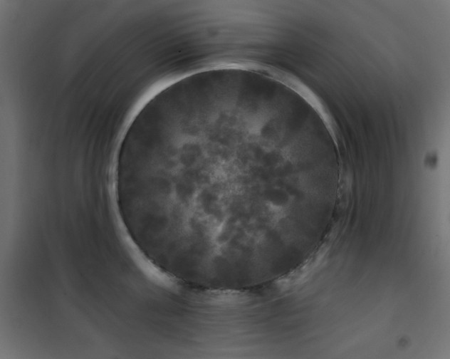 X0000101450811200807071404