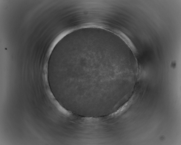 X0000101450812200807071404