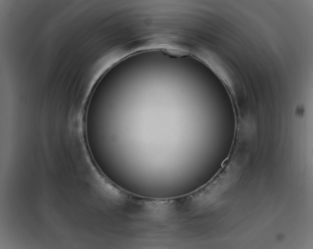 X0000101450813200807071404