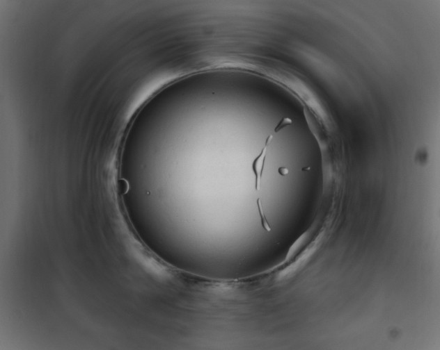 X0000101450814200807071404
