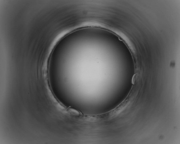 X0000101450815200807071404