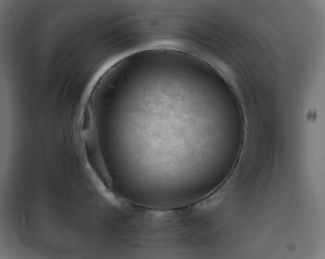 X0000101450816200807071404