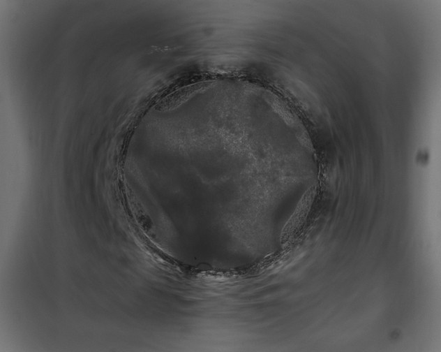 X0000101450817200807071403