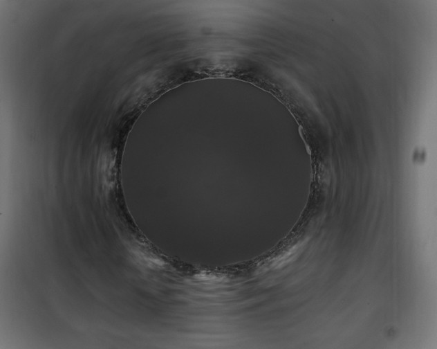 X0000101450818200807071404