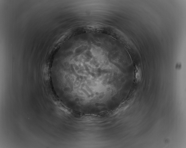 X0000101450819200807071404
