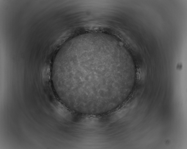 X0000101450820200807071404