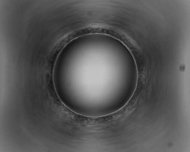 X0000101450821200807071404