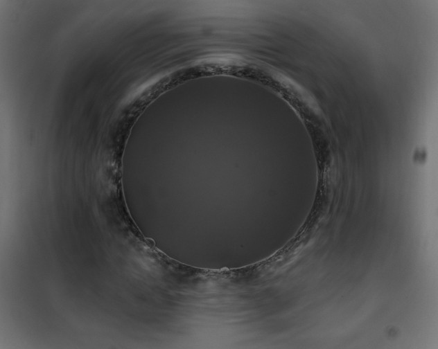 X0000101450822200807071404