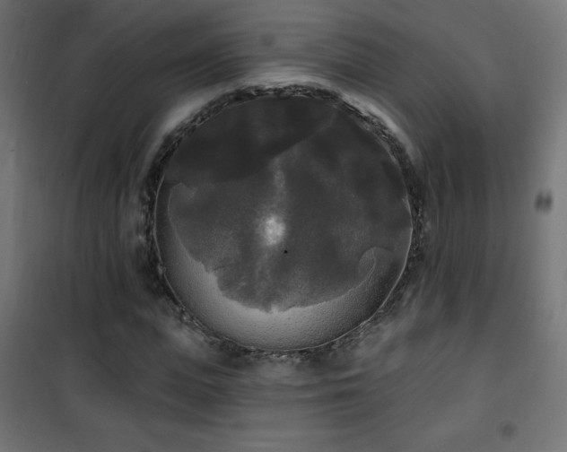 X0000101450823200807071404