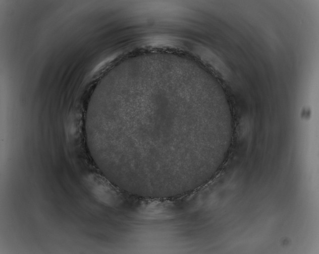 X0000101450824200807071404