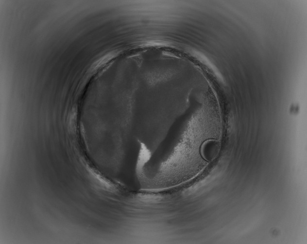 X0000101450825200807071404