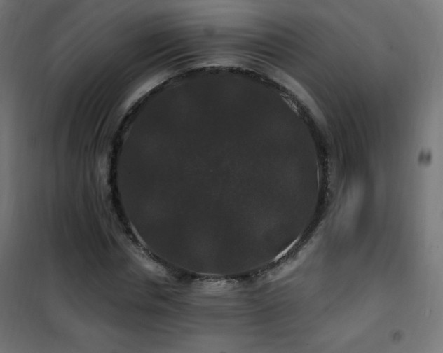 X0000101450826200807071404